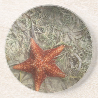 Dessous de verre d'étoiles de mer