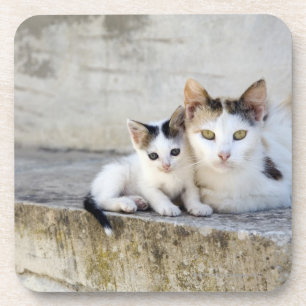 Dessous-de-verre Deux chats sur les étapes en pierre