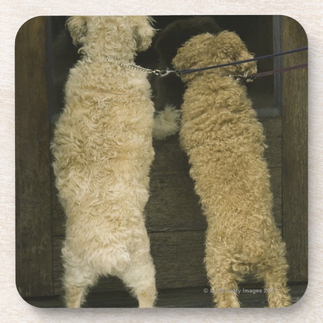 Dessous-de-verre Deux chiens regardant dans la fenêtre de porte, (Devant)