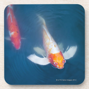 Dessous-de-verre Deux poissons japonais de koi dans l'étang