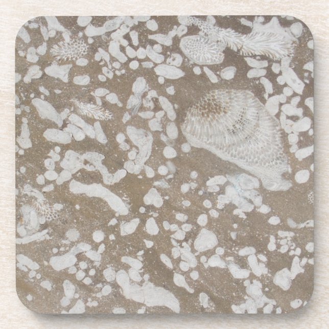 Dessous-de-verre Dévonien Fossil Brown et blanc (Devant)