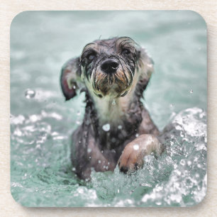 Dessous-de-verre Doggy Paddle mignon chien nager
