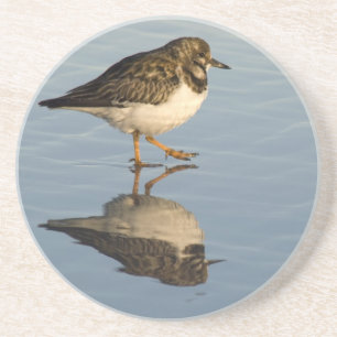 Dessous de verre d'oiseau de bécasseau