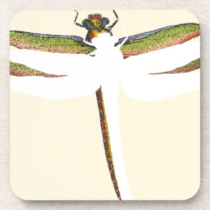 Dessous-de-verre Dragonfly miniature sur Arrière - plan blanc
