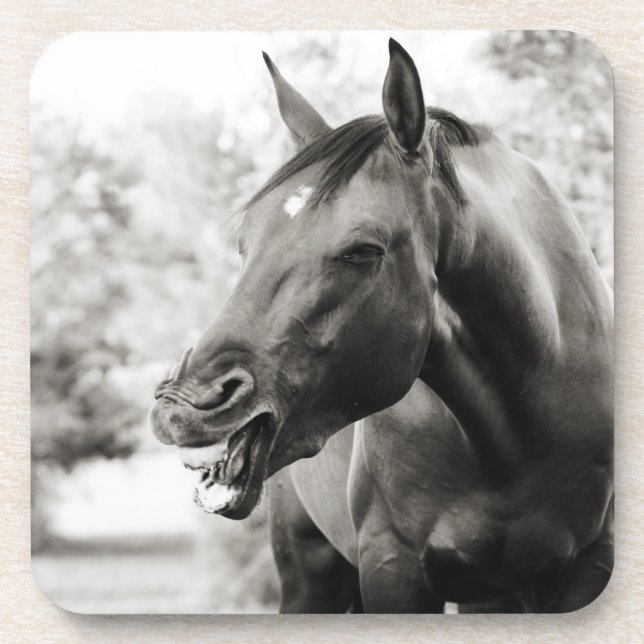 Dessous-de-verre Drôle Cheval de Rire (Devant)
