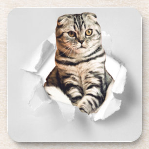 Dessous-de-verre Drôle Gray Cat Popping à travers l'illusion du pap