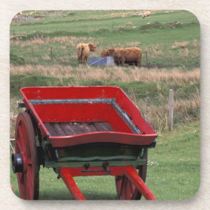 Dessous-de-verre Écosse, île de Skye, Kilmuir. Animaux de ferme