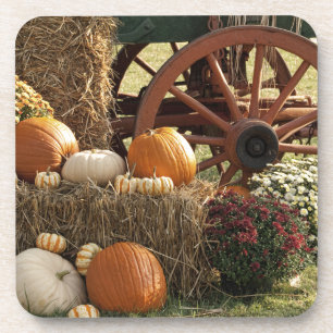 Dessous-de-verre Écran Citrouille Automne Et Mère