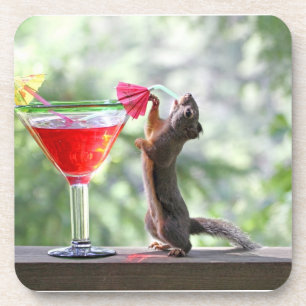 Dessous-de-verre Écureuil buvant un cocktail à l'heure heureuse