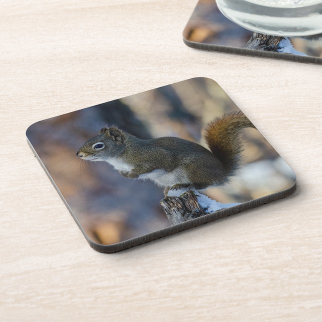 Dessous-de-verre Écureuil d'hiver, animal Brown, photo canadienne (Côté gauche)