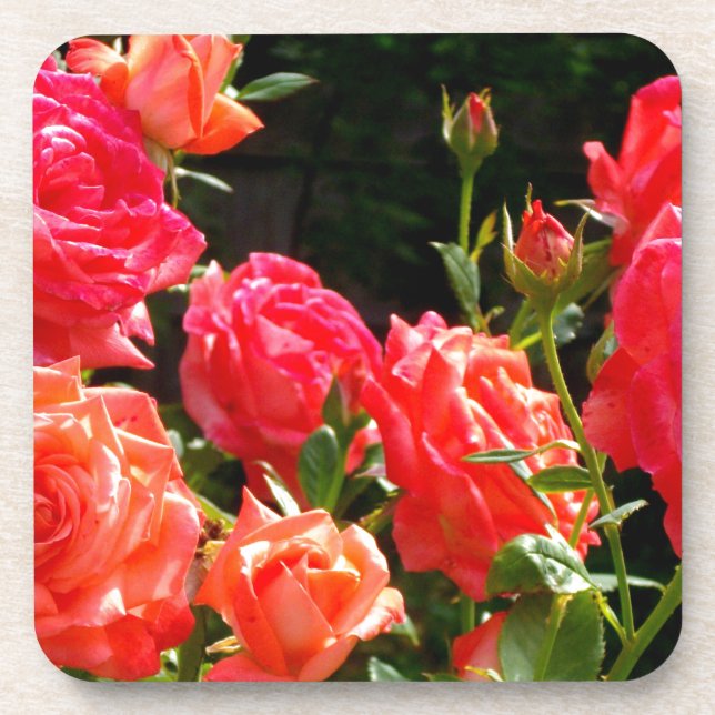 Dessous-de-verre Élégant rose à fleurs rose oranger (Devant)