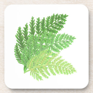 Dessous-de-verre Élégante fougères vertes feuilles de bois