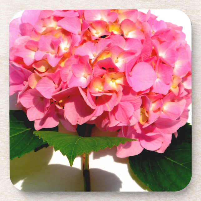 Dessous-de-verre Elégante hydrangée rose fleurie rose (Devant)