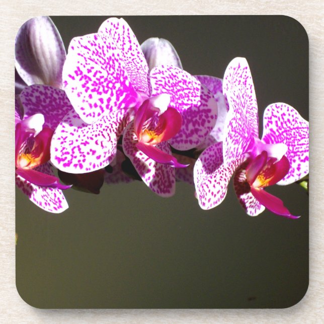 Dessous-de-verre Élégante orchidée rose fleurie tropicale (Devant)