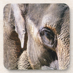 DESSOUS-DE-VERRE ÉLÉPHANT