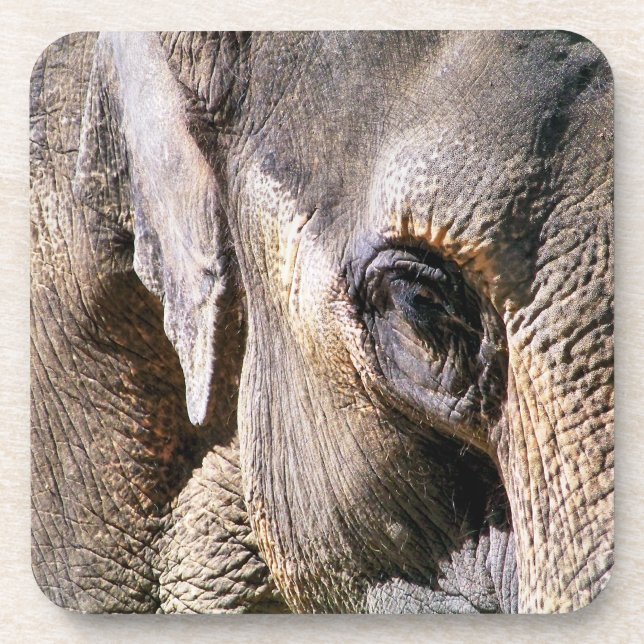 DESSOUS-DE-VERRE ÉLÉPHANT (Devant)