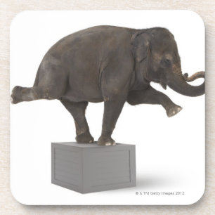 Dessous-de-verre Éléphant exécutant le tour sur la boîte