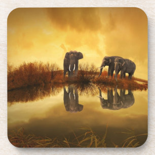 Dessous-de-verre Eléphants asiatiques en Thaïlande sous un coucher 