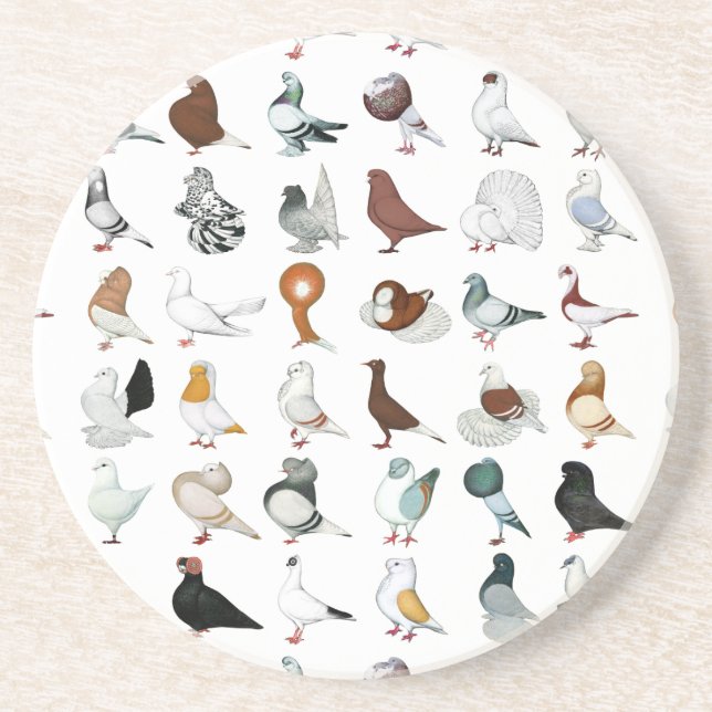 Dessous De Verre En Grès 36 races de pigeons (Devant)