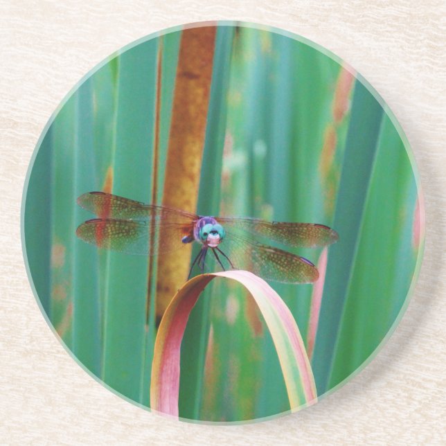 Dessous De Verre En Grès A teal Eyed Dragonfly with cattails (Devant)