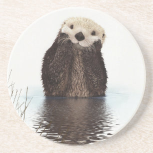 Dessous De Verre En Grès Adorable Smiling Otter in Lake