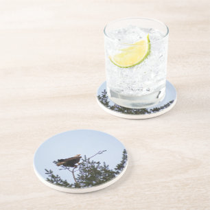 Dessous De Verre En Grès Aigle de Bald