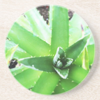 Dessous De Verre En Grès Aloès vert