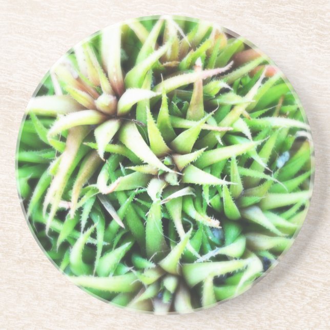 Dessous De Verre En Grès Aloès vert minuscule (Devant)