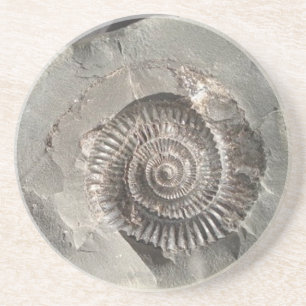 Dessous De Verre En Grès Ammonite de Dactylioceras dans la roche