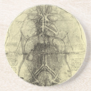 Dessous De Verre En Grès Anatomie humaine de Léonard de Vinci, Torse fémini