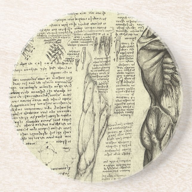 Dessous De Verre En Grès Anatomie humaine Muscles masculins par Leonardo da (Devant)