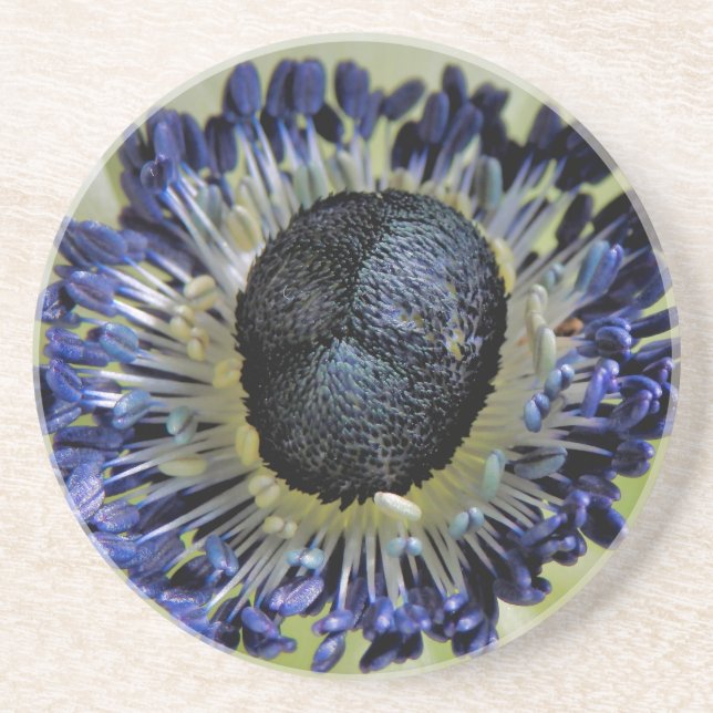 Dessous De Verre En Grès Anemone Mistral Panda (Devant)