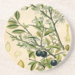 Dessous De Verre En Grès Antique Blackthorn Botanique Imprimé Fleur Berry
