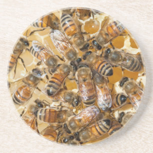 Dessous De Verre En Grès Apiculture à Arlo's Honey Farm