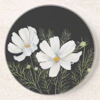 Aquarelle Blanc Cosmos Fleurs Peinture Botanique