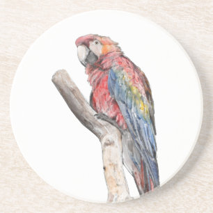 Dessous De Verre En Grès Aquarelle colorée de perroquet macaw