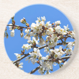 Dessous De Verre En Grès Arbre de printemps blanc fleuri blanc