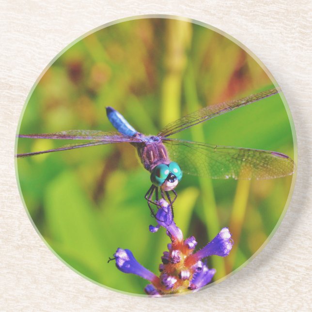 Dessous De Verre En Grès Arc en ciel libellule et fleur (Devant)