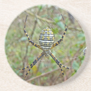 Dessous De Verre En Grès Argiope trifasciata Orb Weaver Spider