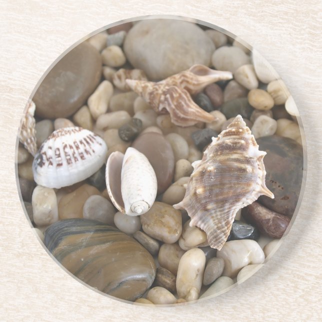 Dessous De Verre En Grès Arrière - plan de Shell de mer (Devant)