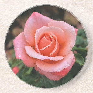 Dessous De Verre En Grès Art botanique romantique Rose Imprimer