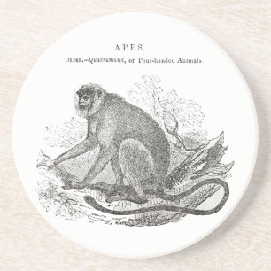 Dessous De Verre En Grès Art de singe vintage 1800