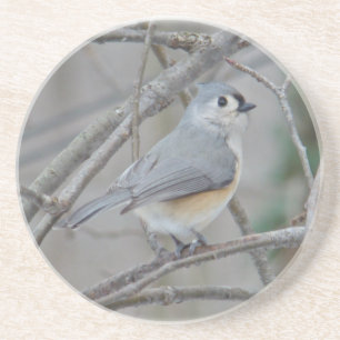 Dessous De Verre En Grès Articles Tufted Titsouris (Baeolophus bicolor)