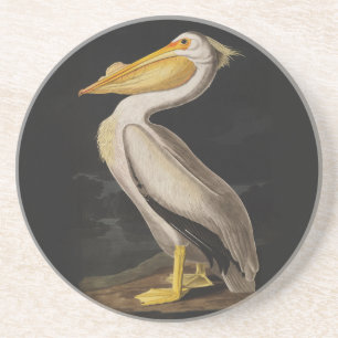 Dessous De Verre En Grès Audubon White Pelican Bird Imprimer Vintage