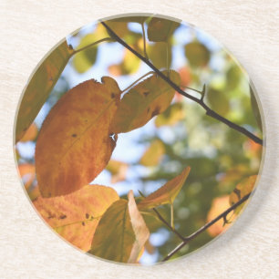 Dessous De Verre En Grès Automne Feuilles Coup d'oeil Automne Photographie 