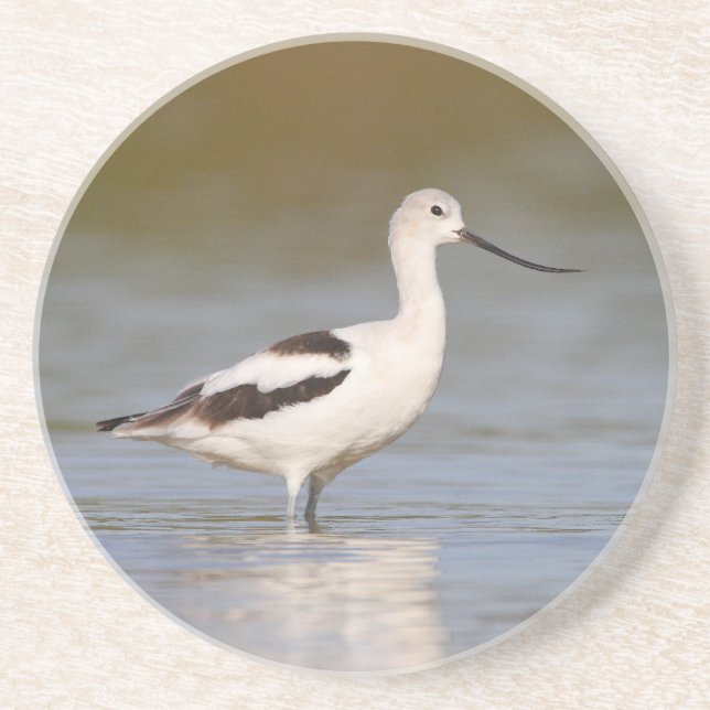 Dessous De Verre En Grès Avocet américain blanc (Devant)