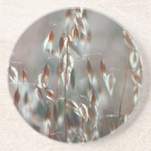 Dessous De Verre En Grès Avoine Mûre (Avena Sativa) Gros Plan. Ceres, Bolan