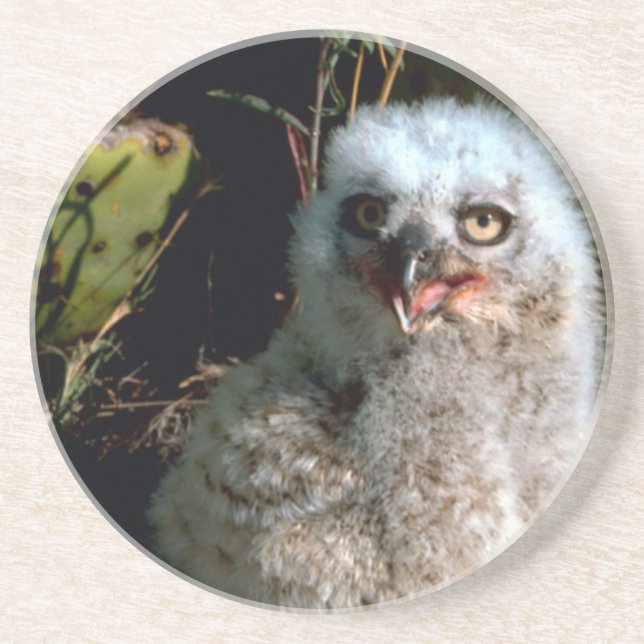 Dessous De Verre En Grès Baby Great Horned Owl (Devant)
