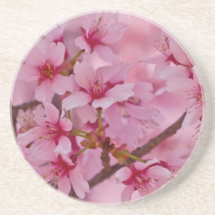 Dessous De Verre En Grès Baigné dans les fleurs de cerisier japonaises rose