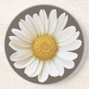 Dessous De Verre En Grès Baisson blanc sur Fleur Arrière - plan Brown foncé